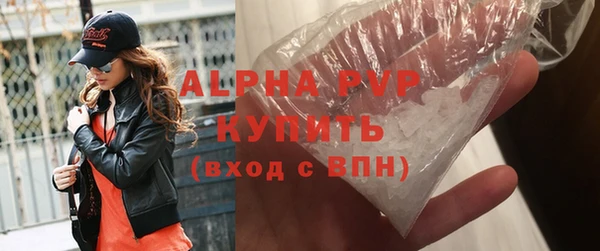 гашик Новозыбков