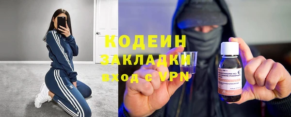гашик Новозыбков