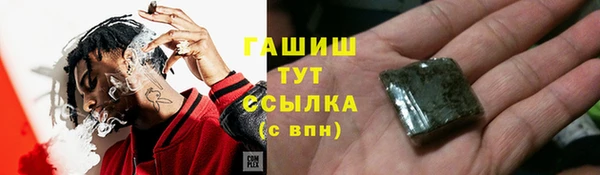 гашик Новозыбков