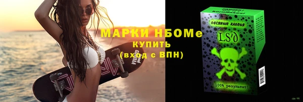 СК Новодвинск