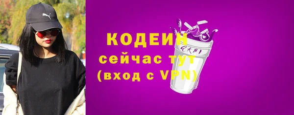 гашик Новозыбков