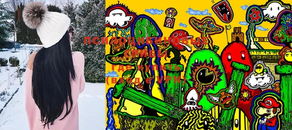 PSILOCYBIN Абдулино