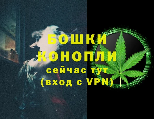 СК Новодвинск