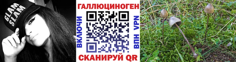Галлюциногенные грибы Psilocybe Оренбург